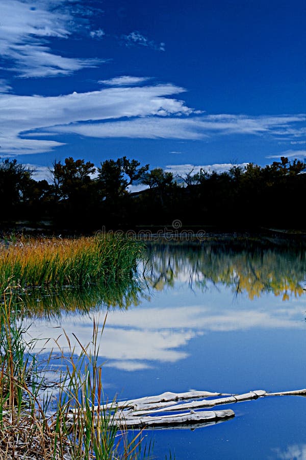 Colorado River royalty free stock photo