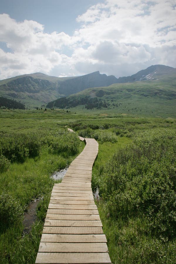Colorado Summer Mountain Backcountry Scene Stock Photo Image of