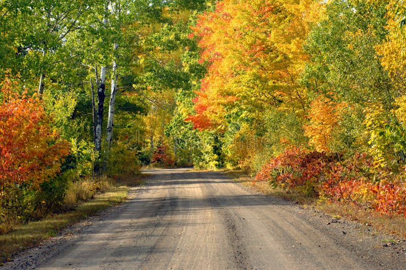 One lane dirt road disappears into the distance on this tree lined logging road in the upper penninsula of Michigan. Brilliant yellow and orange trees at peak color fill the fall woods with brilliant color. One lane dirt road disappears into the distance on this tree lined logging road in the upper penninsula of Michigan. Brilliant yellow and orange trees at peak color fill the fall woods with brilliant color.