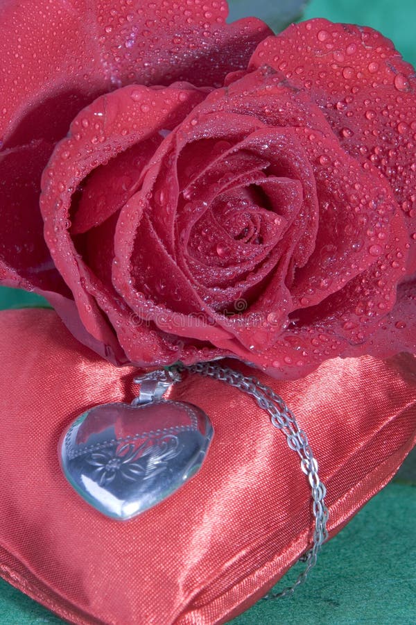 Red rose with heart locket on red cushion. Red rose with heart locket on red cushion