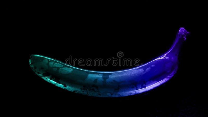 Colored banana on black background Multicolor gradient animation Neon modern style stock video footage