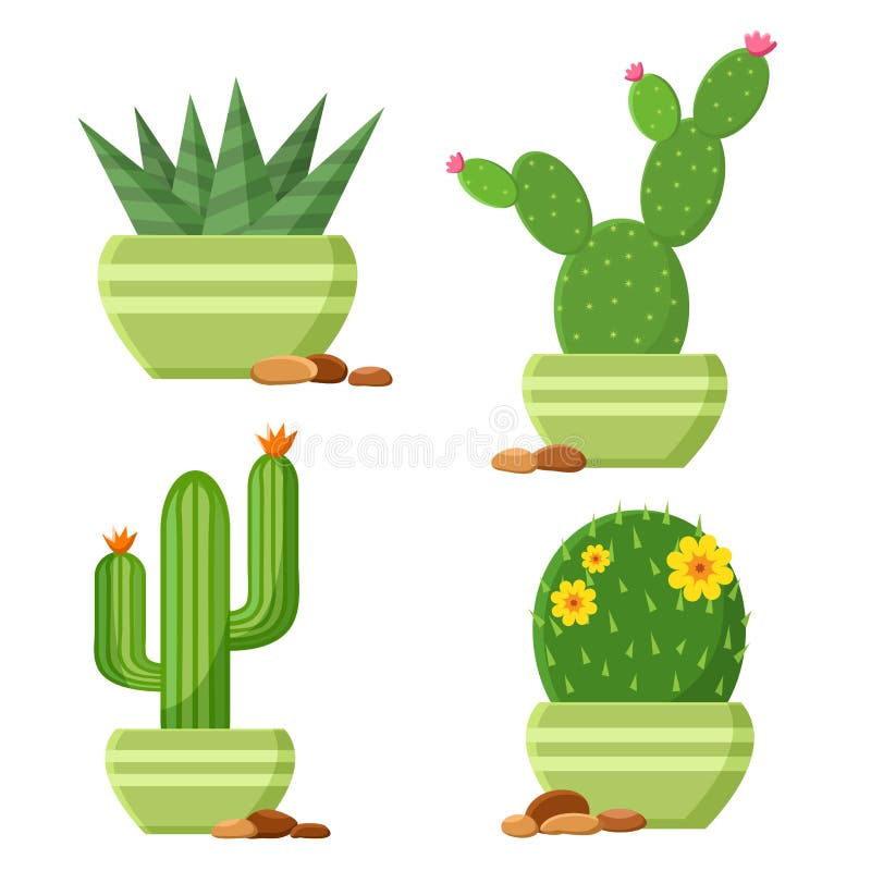 Colored cactus set in flowerpots with pebbles. Flowering cactus. Vector illustration royalty free illustration Colored cactus set in flowerpots with pebbles. Flowering cactus. Vector illustration royalty free illustration