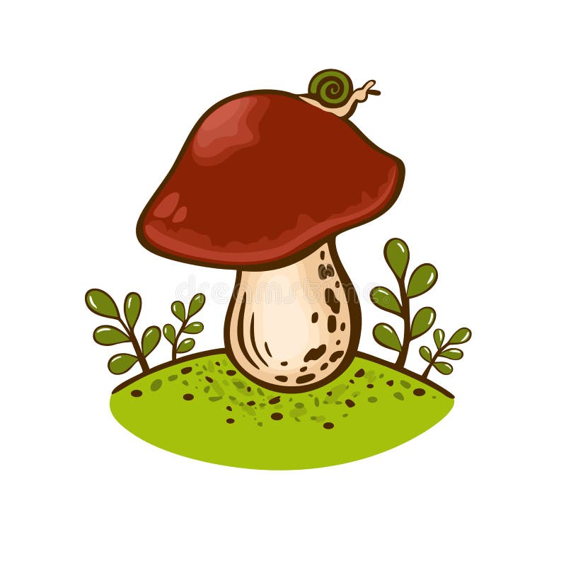 Colored drawing porcini mushroom isolated on white background