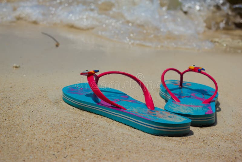 Flip flops on the beach stock photo. Image of holiday - 5852156