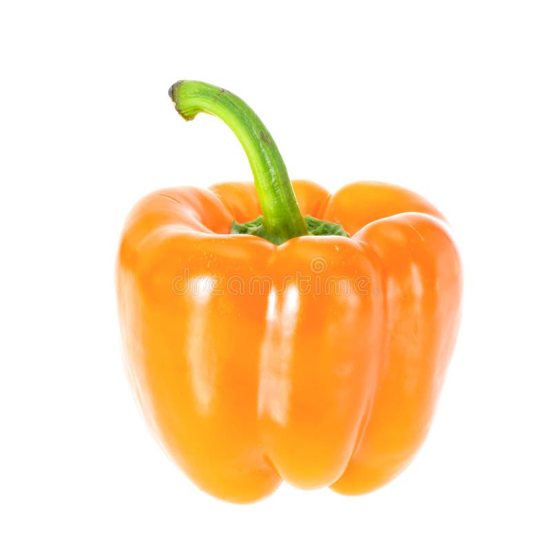 Colored Fresh Sweet Pepper Isolated on White Background Stock Image Image of sweet, bell 40578697