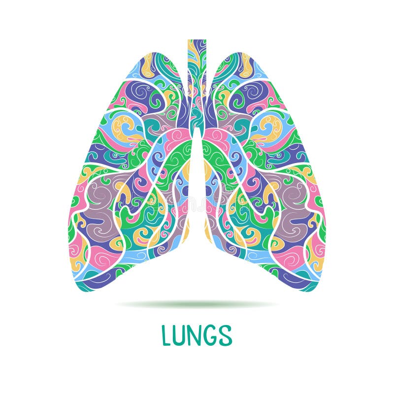 Abstract human lungs. Hand drawn sketched lungs. Abstract human lungs. Hand drawn sketched lungs.