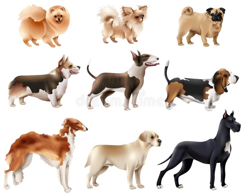 Dog Breeds Icon Set royalty free illustration Dog Breeds Icon Set royalty free illustration