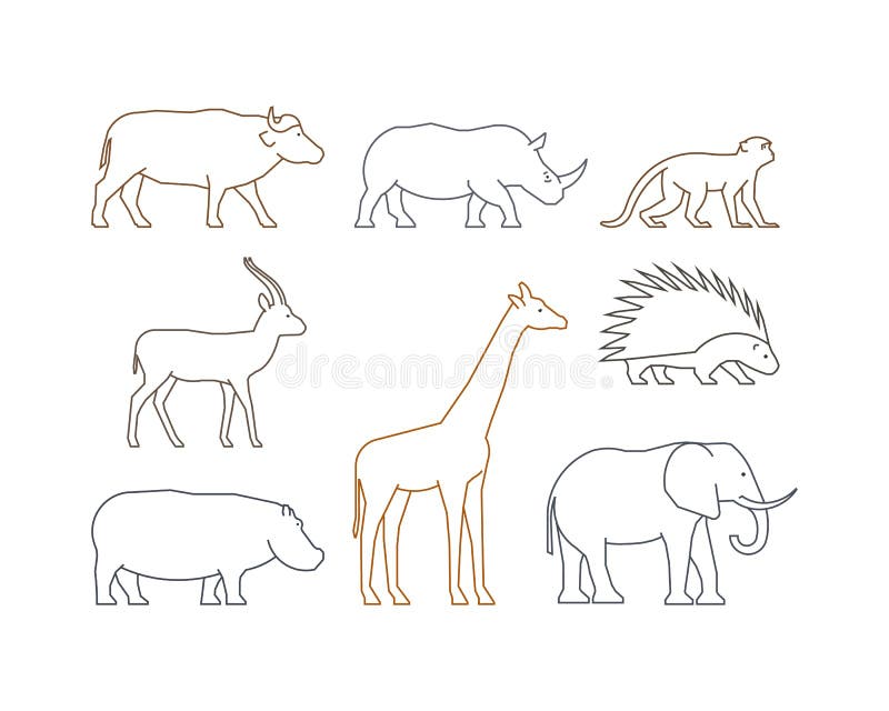 Colored Line Set of African Animals Stock Illustration - Illustration of  linear, safari: 72058653