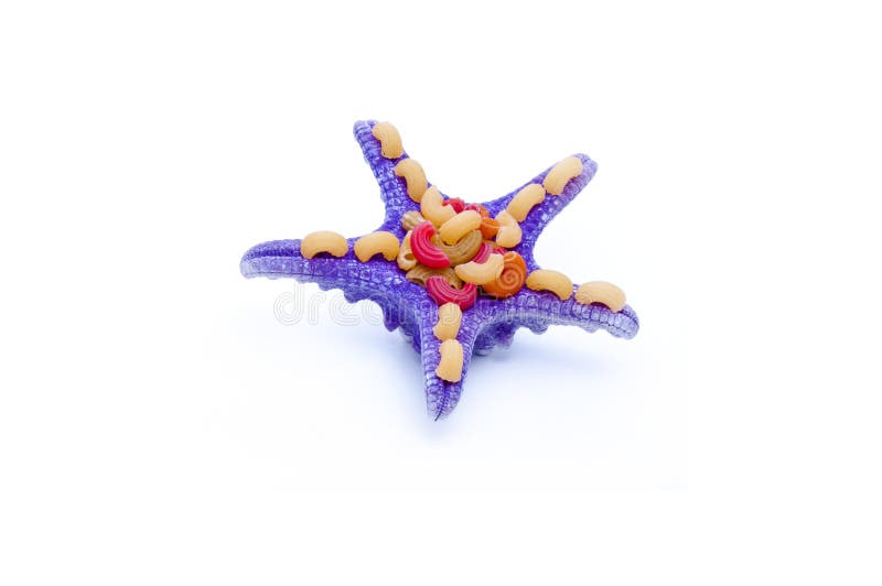 Colored macaroni, pasta and starfish