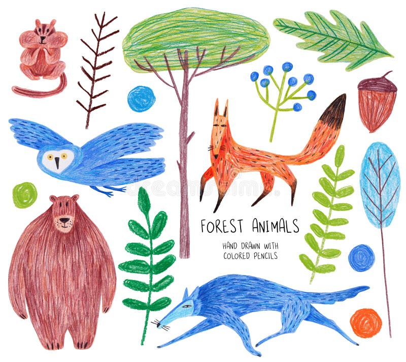 Colored pencil drawn forest animal collection