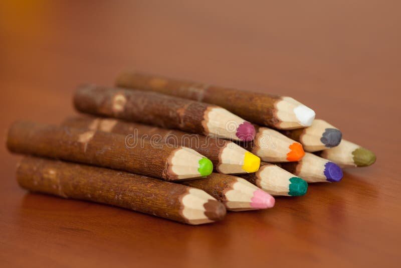 Colored Pencils Made Out of Wood Bark Stock Image Image of physical