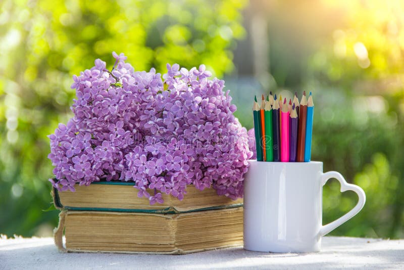 Colored pencils and stack of books. Back to school. Pencils, books and flowers stock photography Colored pencils and stack of books. Back to school. Pencils, books and flowers stock photography