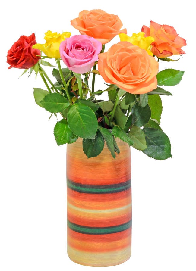 Colored Roses Flowers in a Colored Vase, Close Up, White Background
