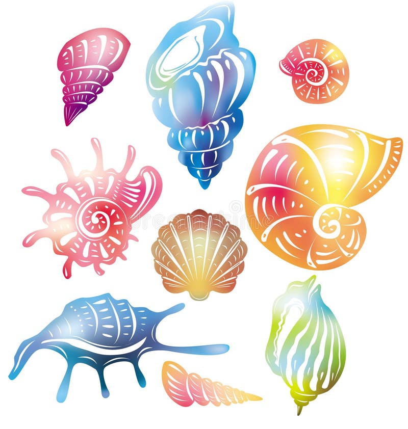 Colored seashell. (used Mesh and Clipping Mask.