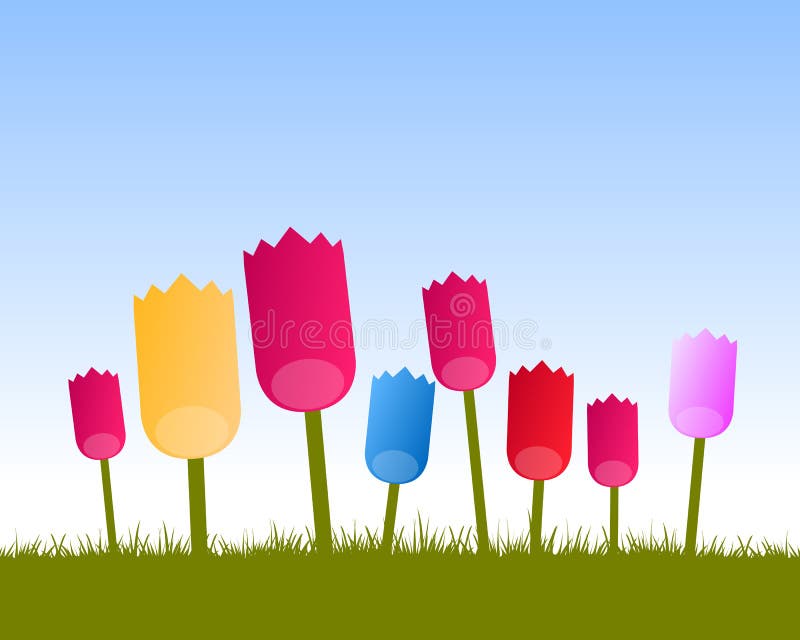 Colored tulips background