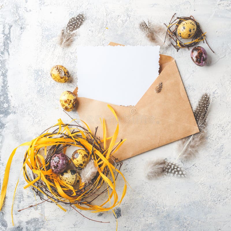 Easter Eggs in bird Nest. Quail easter eggs with feathers in nest on white table with copy space