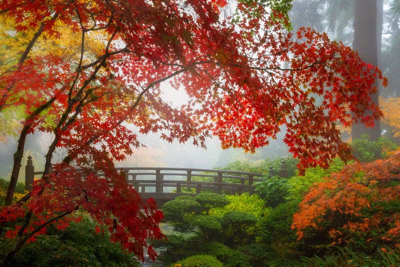 Colores de la caída por el puente de la luna en el jardín japonés de Portland en Oregon