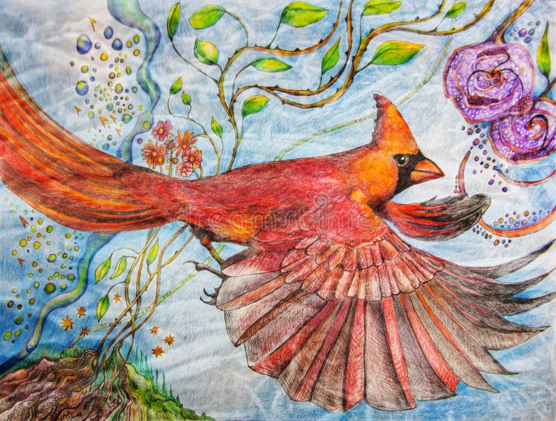 Colorez la peinture de crayon d'un cardinal masculin en vol illustration de vecteur Colorez la peinture de crayon d'un cardinal masculin en vol illustration de vecteur