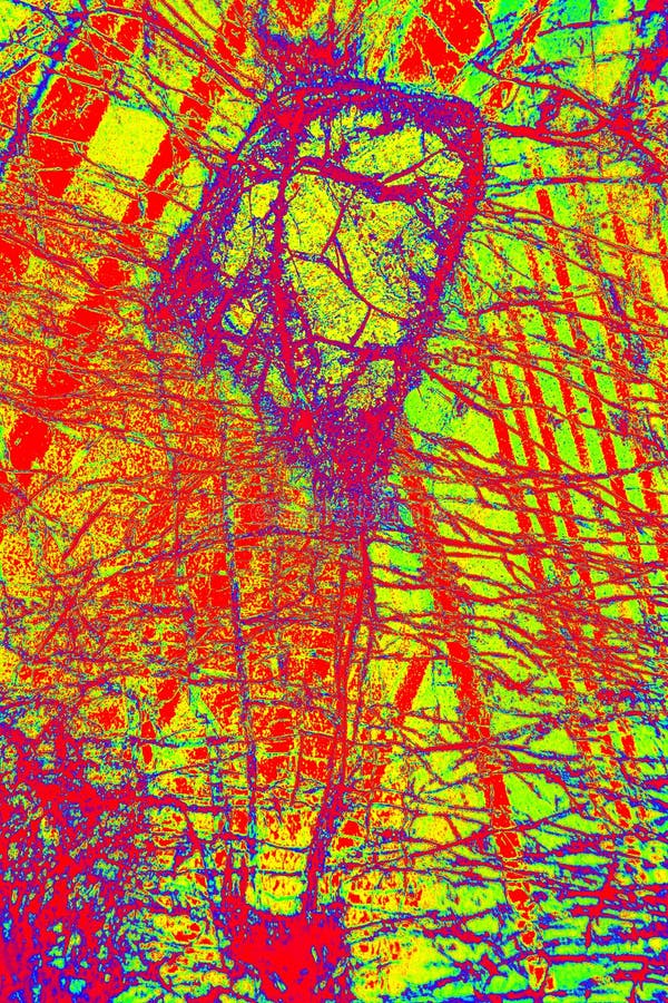 Colorful, abstract pattern of mineral in a polarizing micrograph. Bright colorful shapes and lines over yellow background in abstract micrograph of peridotite stock photo Colorful, abstract pattern of mineral in a polarizing micrograph. Bright colorful shapes and lines over yellow background in abstract micrograph of peridotite stock photo