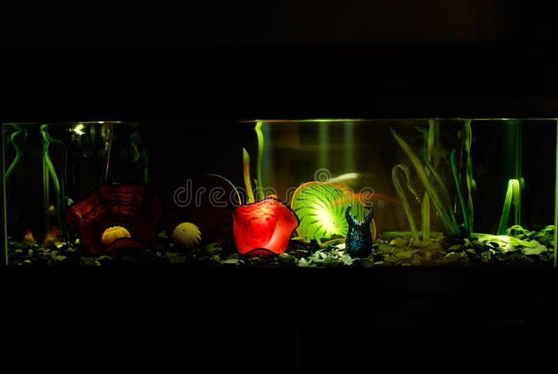 541 Aquarium Decorations Stock Photos - Free & Royalty-Free Stock Photos  from Dreamstime