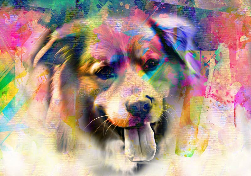 Colorful Artistic Dog Muzzle Isolated on White Background Stock Image -  Image of individual, cute: 217367987