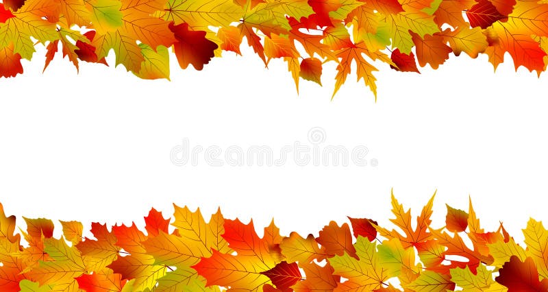 Colorful autumn border made from leaves. EPS 8