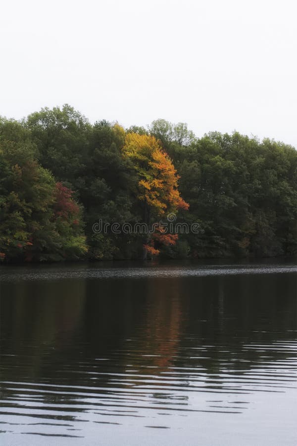 Colorful autumn/fall foliage in a forest on a lake in new england. Colors of red orange and green stock photo Colorful autumn/fall foliage in a forest on a lake in new england. Colors of red orange and green stock photo
