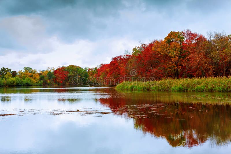 colorful autumn forest lake river sky clouds Cirrus