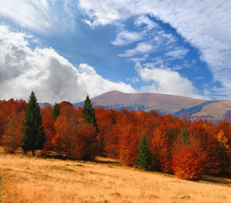 Colorful Autumn Landscape Stock Photo Image Of Beauty 20348170