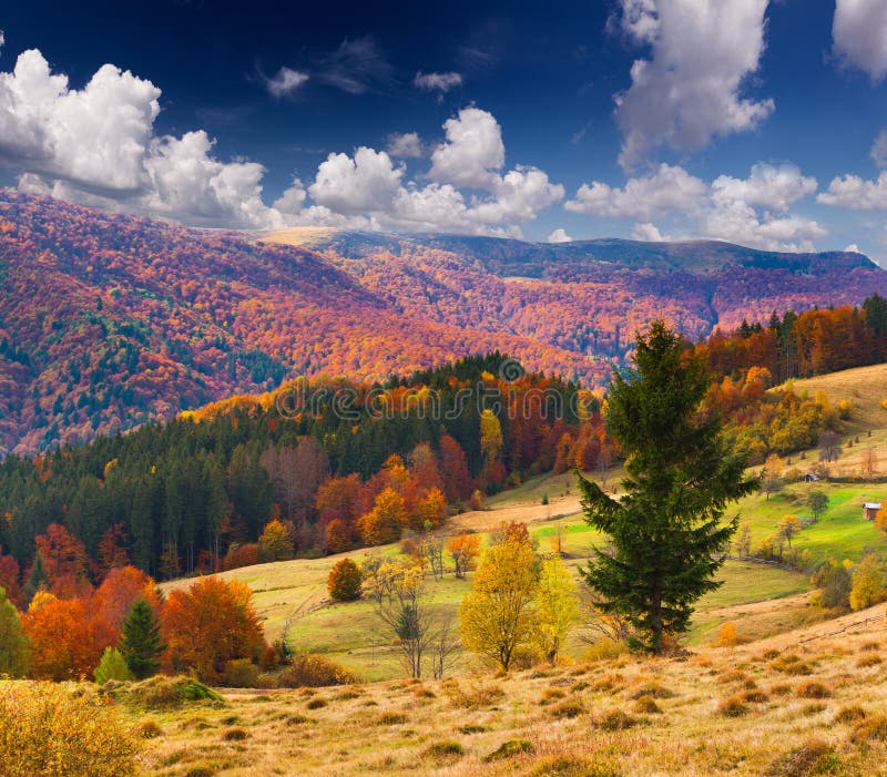 Colorful Autumn Landscape Stock Photo Image Of Landscape 21223192