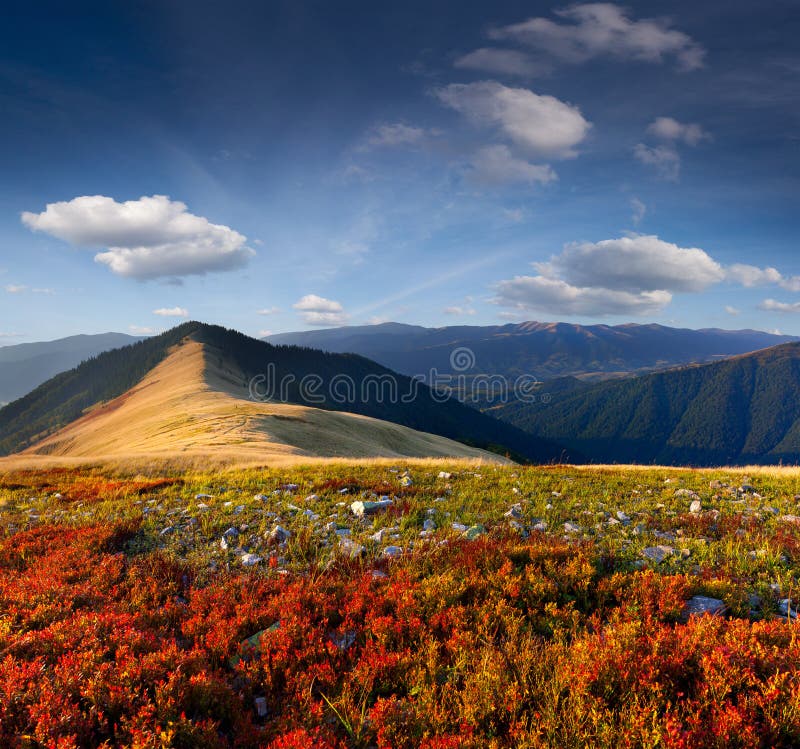 Colorful Autumn Landscape Stock Photo Image Of Light 26701752