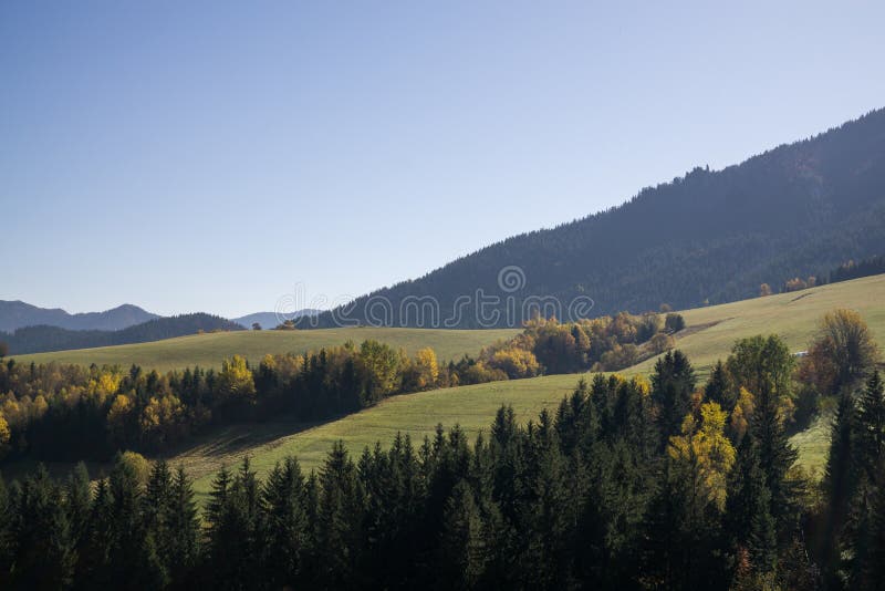 Colorful autumn landscape with mist and leaves on the trees in nature.