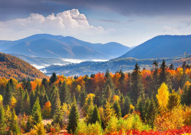 Colorful Autumn Landscape In Mountains Stock Image Image Of Autumn