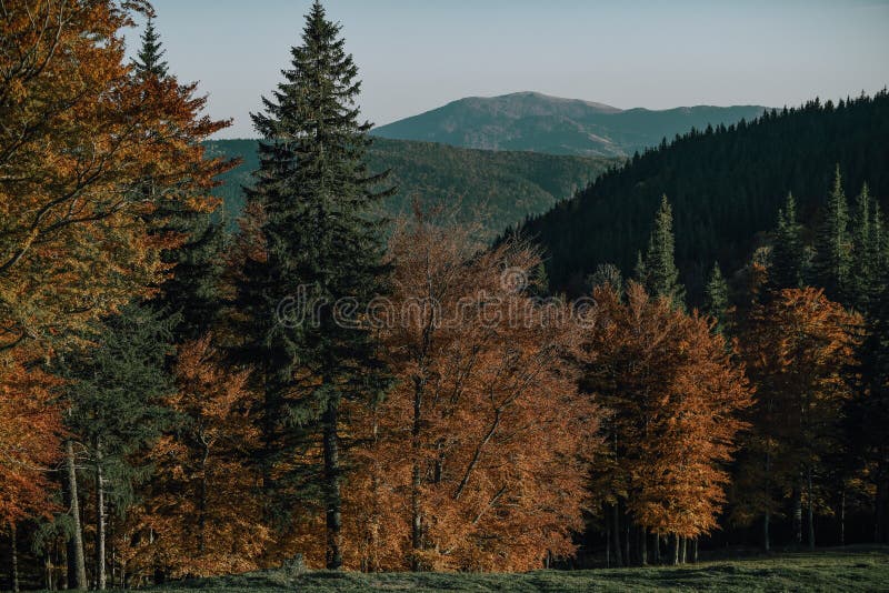 Letecký pohľad na jesennú horskú krajinu v Cheia, Brasov - Rumunsko