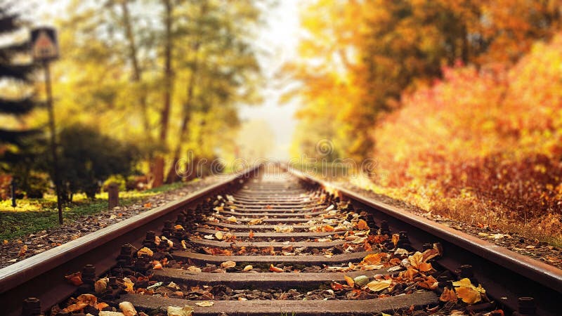 Colorful autumn leaves falling down on railway tracks