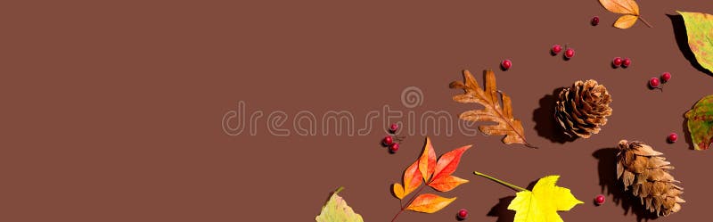 Colorful autumn leaves with pinecones stock images