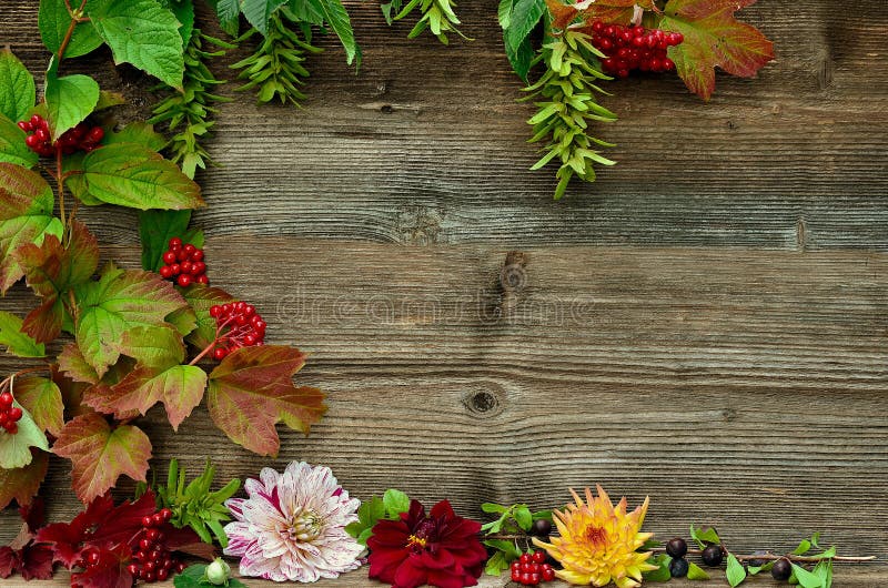 Colorful autumn leaves wood background