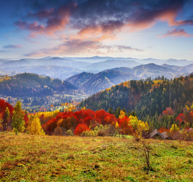 Colorful Autumn Morning in the Carpathians. Stock Photo - Image of ...