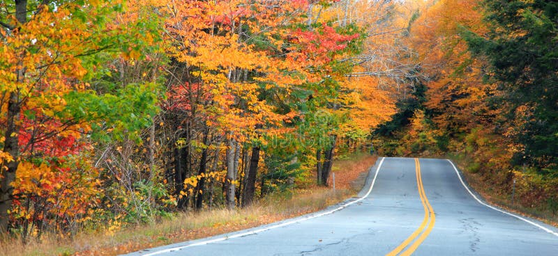 Autumn trees along scenic route in New Hampshire