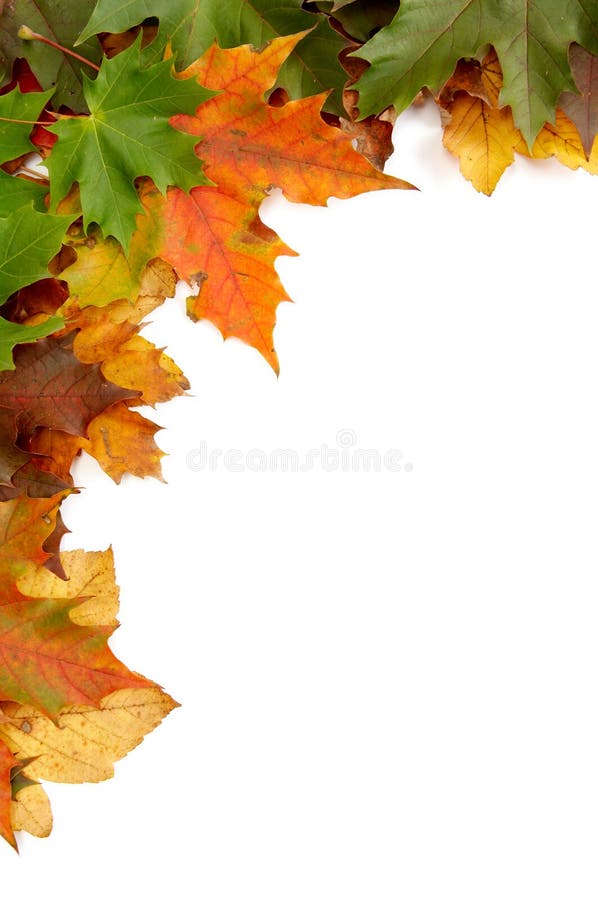 Colorful autumnal leaves