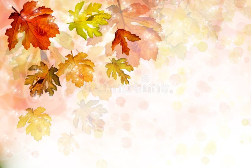 Colorful background with autumn leaves