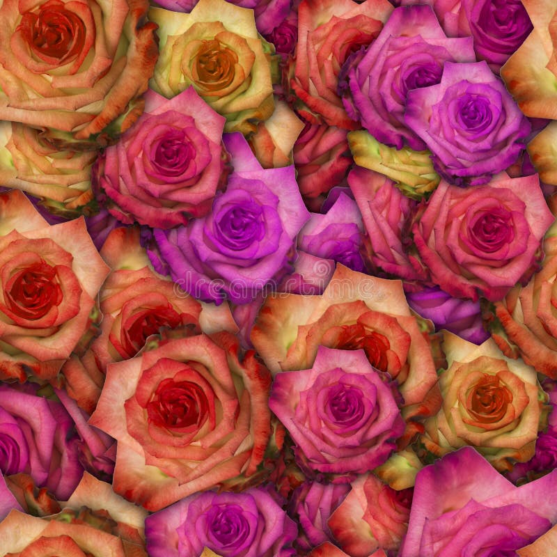 Colorful 3D Background with Rose Flower. Seamless Pattern Stock Image