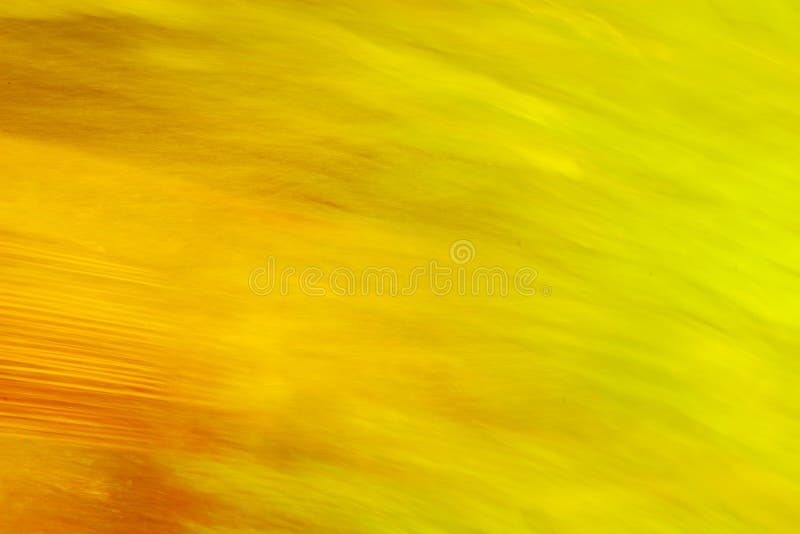 Colorful backgrounds stock image