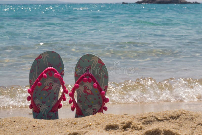 Clarks Breeze Sea Adjustable Strap Comfort Flip Flops Women's | Shoe City