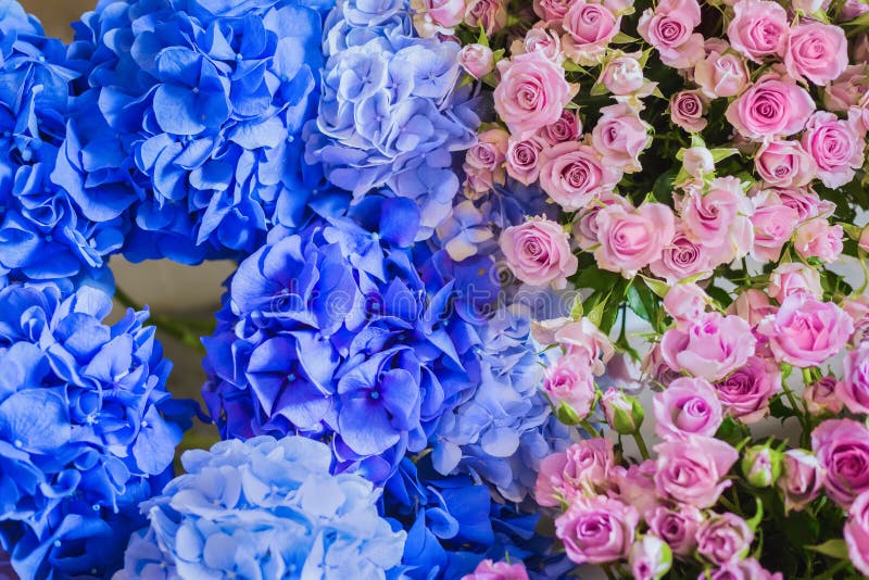 Colorful beautiful flowers bouquet - roses and hortensias - close up