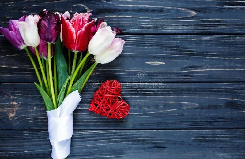 Colorful beautiful pink violet tulips and red heart on gray wooden table. Valentines, spring background. Floral mock up with copyspace. Happy mothers day, romantic still life, fresh flowers