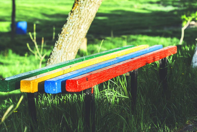 Bench in garden stock image. Image of garden, grass 146588761