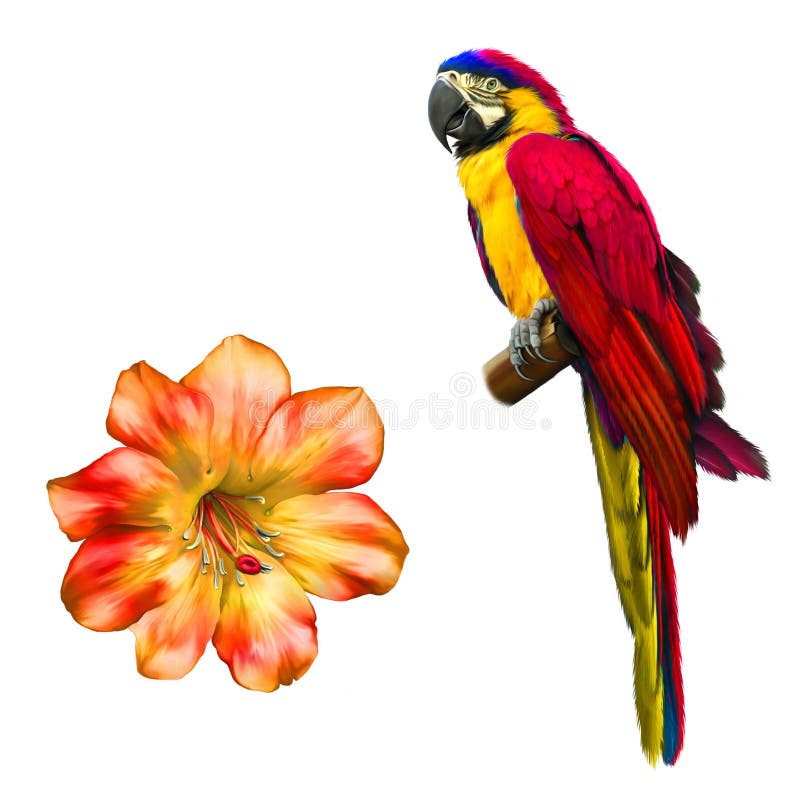 Colorful blue parrot macaw, bright red Flower