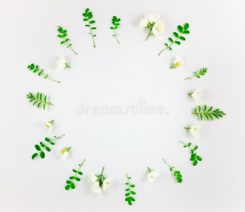 Colorful bright round pattern of leaves and flowers. Flat lay, top view royalty free stock image