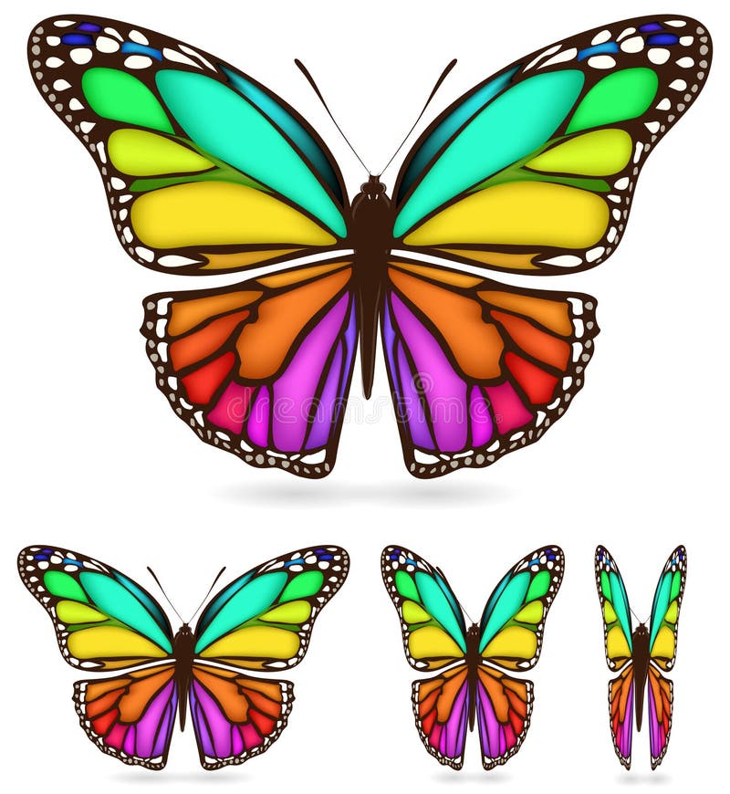 Abstract Colorful Pattern Floral Butterfly Stock Vector Illustration